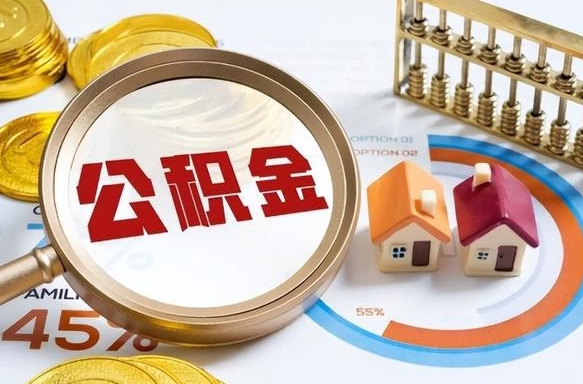 玉树失业了可以提取全部公积金吗（失业了可以提取住房公积金吗）